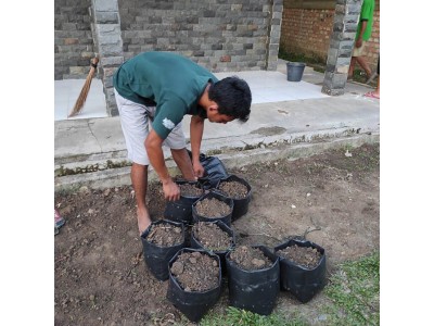 Pembersihan Area Belakang
