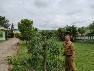 Pembersihan Area Depan
