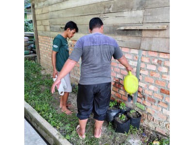 Pembersihan Area Belakang